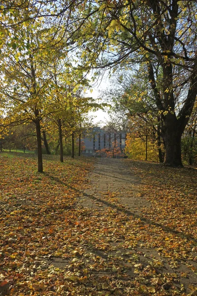 리투아니아의 일반적인 가을 전망 — 스톡 사진