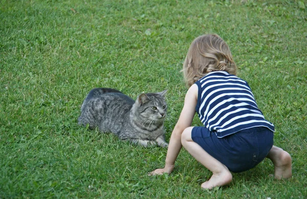 Child with a cat — Stock Photo, Image