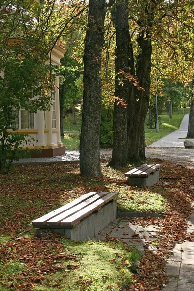 Druskininkai Sonbahar