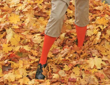 Sonbahar yaprakları duran kadın