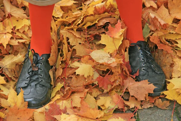 Sonbahar yaprakları duran kadın