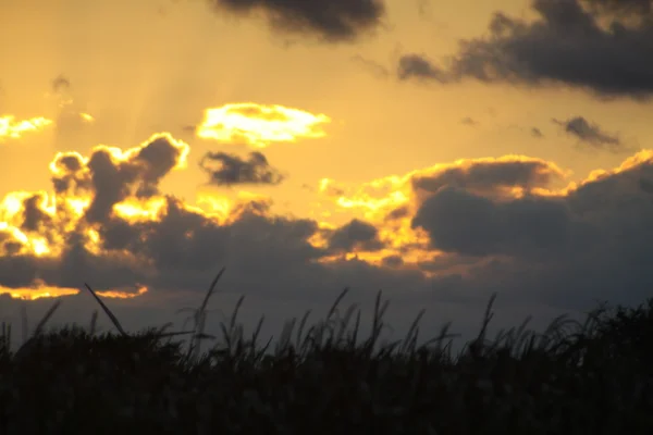 Pôr-do-sol atrás de nuvens — Fotografia de Stock