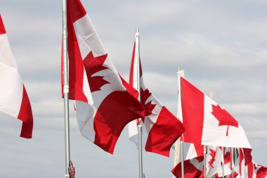 Çit Kanada bayrakları