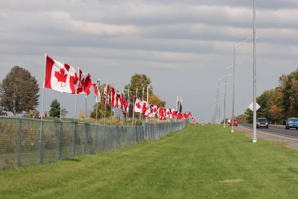Kanadské vlajky na plot — Stock fotografie