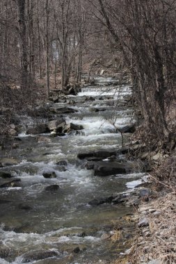 Basamaklı su Şelalesi