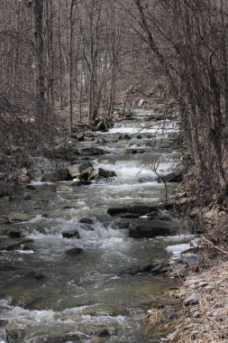 Basamaklı su Şelalesi