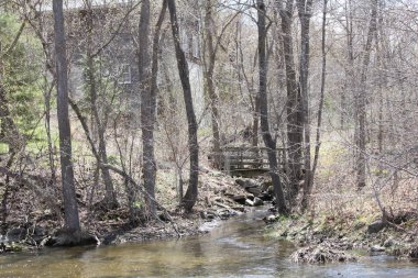 Ağaçlar arasında ahşap yaya köprüsü