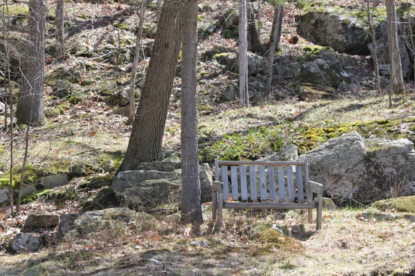 Bänk Seat-utomhusmiljö — Stockfoto