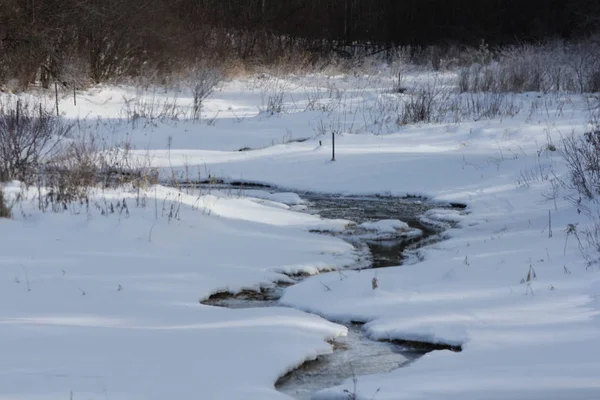 Stream en hiver — Photo