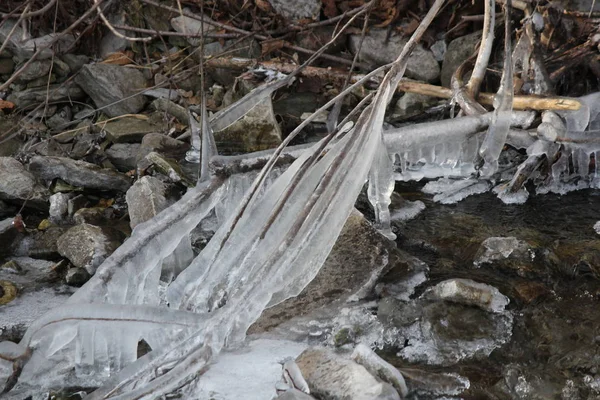 Gelo Formando Rochas Baixo Pendurado Filiais Perto Margem Uma Navegável — Fotografia de Stock