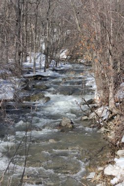 Su erime-hızla sırasında mevsimlik bir erime kayalık bir yokuş aşağı çalışan kapalı.