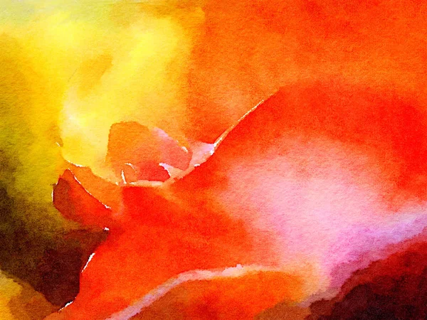 抽象的红玫瑰 — 图库照片