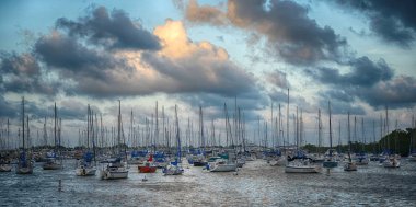 Coconut Grove Harbor