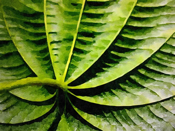 Acuarela bajo la hoja — Foto de Stock