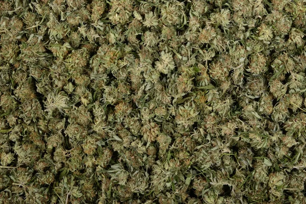 Een grote stapel van marihuana Nuggets — Stockfoto