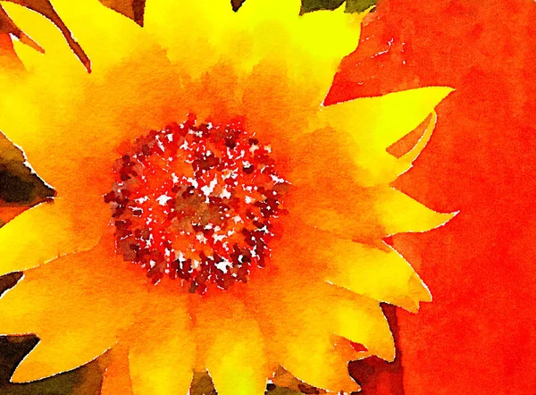 Sunflower on the fence — Stock Photo, Image