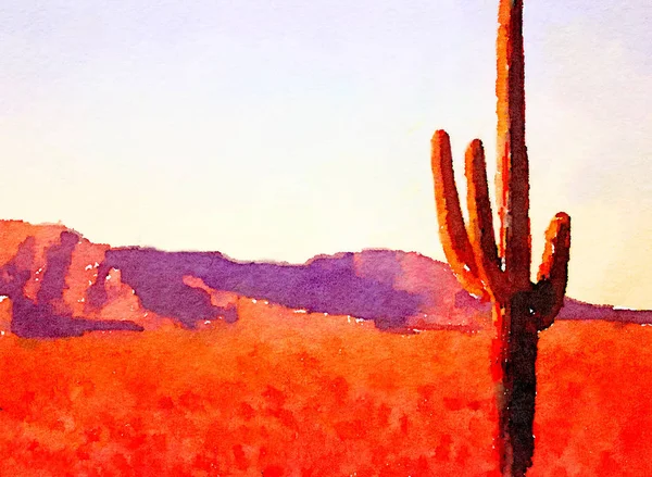 アリゾナ州の砂漠のサボテン — ストック写真