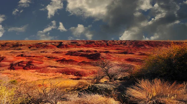 Die schön bemalte Wüste — Stockfoto