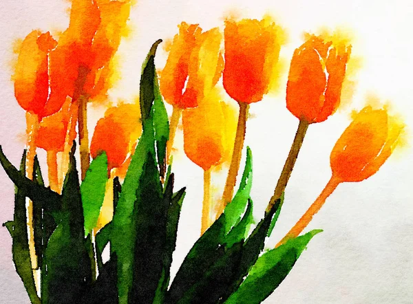 Pintura a aquarela de um vaso de Tulipas — Fotografia de Stock