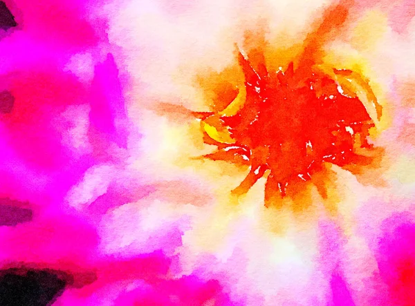 Dentro de uma rosa vermelha em aquarela — Fotografia de Stock