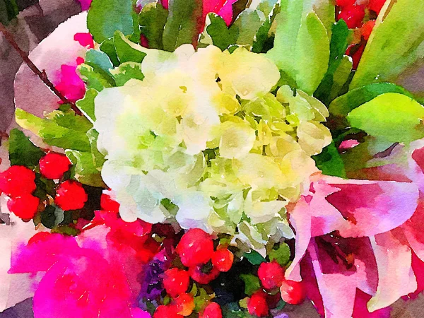 Schöne Auswahl an Blumen — Stockfoto