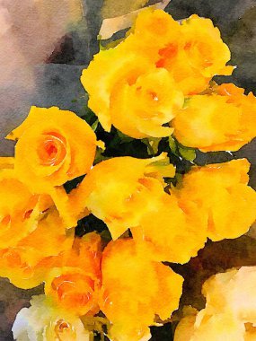 Bir buket Sarı Gül suluboya
