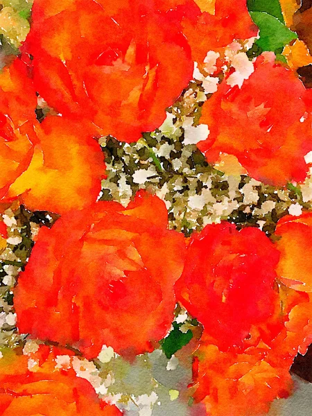 非常漂亮的红玫瑰 — 图库照片