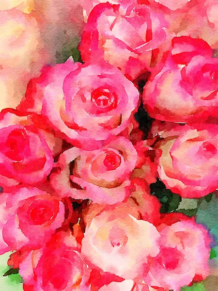 Rosas cor-de-rosa bonitas em aquarela — Fotografia de Stock