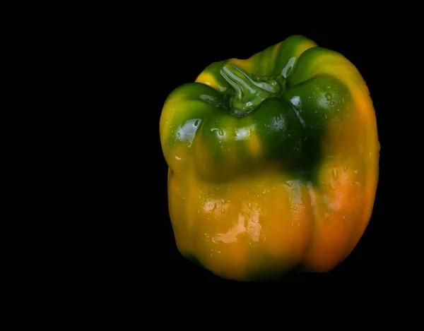Die perfekte mehrfarbige Paprika — Stockfoto