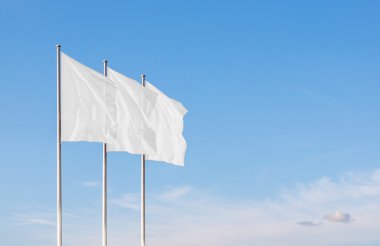 Üç boş şirket bayrakları rüzgarda sallayarak beyaz