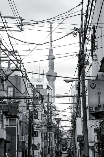 Tokyo Street cu fire electrice și Sky Tree — Fotografie, imagine de stoc