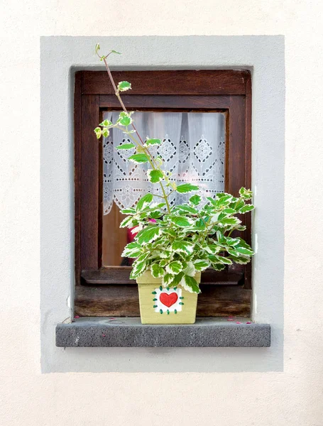 Ventana decorada con maceta en verano — Foto de Stock