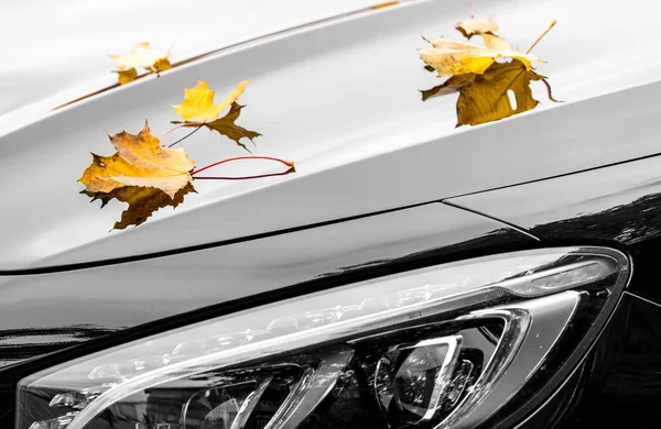 Φύλλα σφενδάμου σε πολυτελές αυτοκίνητο στο φθινόπωρο — Φωτογραφία Αρχείου