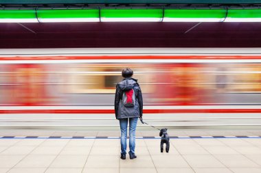 Kadın ile köpek bulanık ile metro istasyonunda tren hareket
