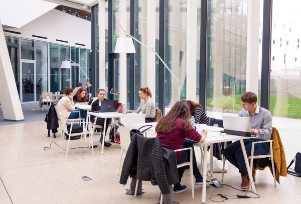 Unga vuxna studenter sitter i moderna bibliotek och studera — Stockfoto