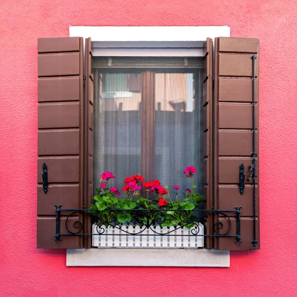 Colorful residential window with blooming flowers in Burano — Stock Photo, Image