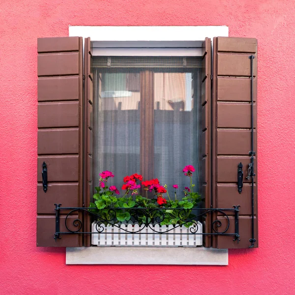 Kleurrijke residentiële venster met bloeiende bloemen in Burano — Stockfoto