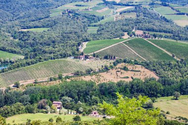 Yaz aylarında Tuscany manzaraya pitoresk havadan görünümü