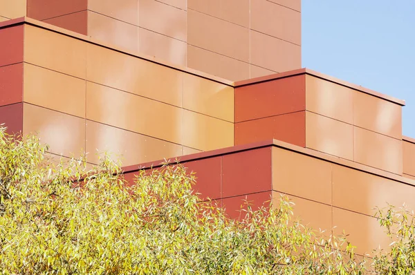 Абстрактні архітектурні деталі з сучасним фасадом та листям дерева — стокове фото