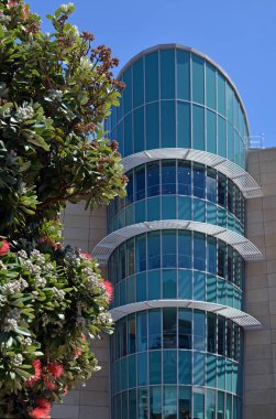 Yeni Zelanda Te Papa Tongarewa Müze binası detay.