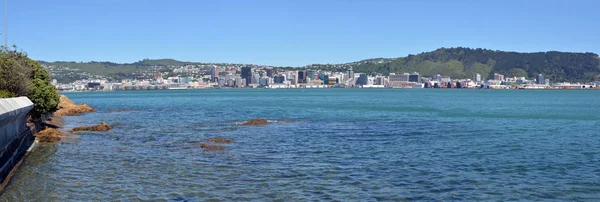 Wellington havn og bylandskap Tidlig om morgenen i Panorama – stockfoto