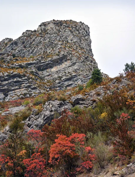 Gorges Du Verdon in schitterende herfstkleuren, Provence, Frankrijk — Stockfoto
