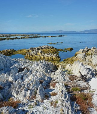 Kaikoura Yarımadası kaldırdı 1,25 metre devasa deprem