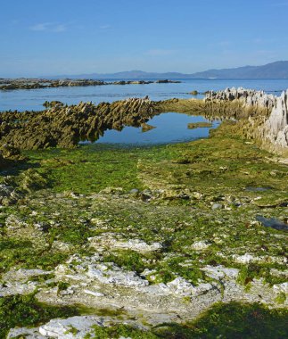 Kaikoura Yarımadası kaldırdı 1,25 metre devasa deprem