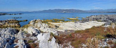 Kaikoura Yarımadası kaldırdı 1,25 metre devasa deprem