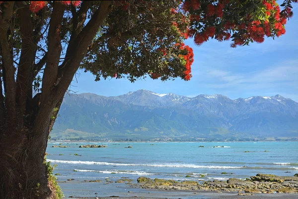 Christmas comes Early for Kaikoura,State Highway One Opened Toda — Stock Photo, Image