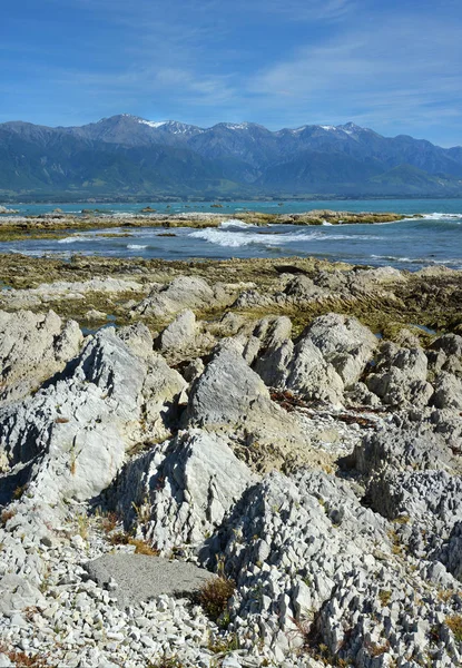 คาบสมุทรคาบสมุทร Kaikoura เพิ่มขึ้น 1.25 เมตรโดยแผ่นดินไหวขนาดใหญ่ — ภาพถ่ายสต็อก