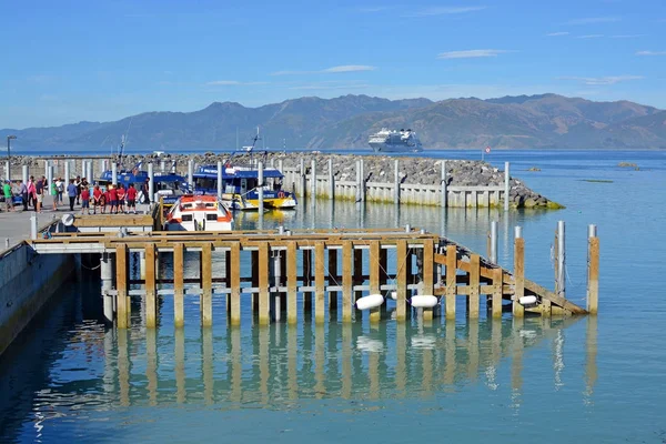 Кит часы Кайкоура Новой Зеландии лодки открыто для бизнеса — стоковое фото