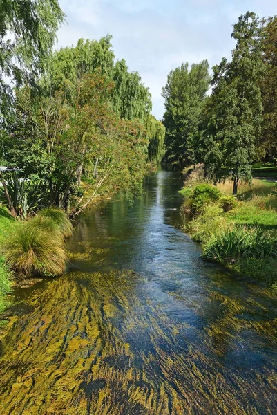 Avon rzeki przepływającej przez centrum Christchurch, Argentyna — Zdjęcie stockowe