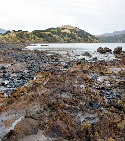 Onawe Paninsula Volkanik Plug, Akaroa Limanı, Yeni Zelanda — Stok fotoğraf